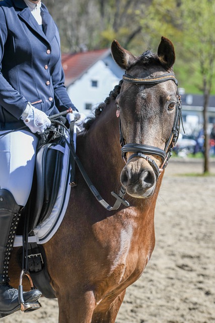 要努力的方 要努力的方