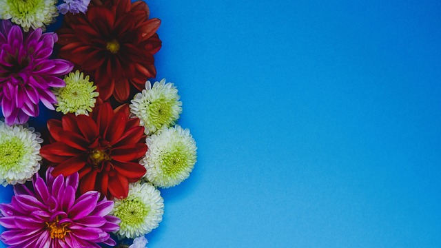 本文將揭示 本文將揭示