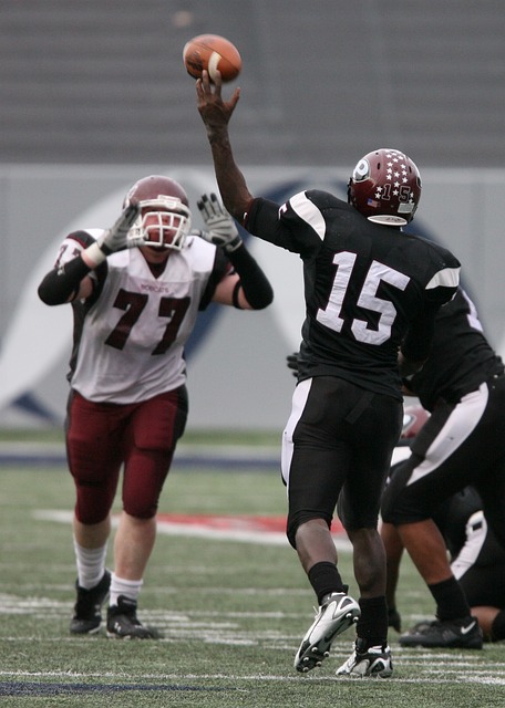 巴西天才羅 巴西天才羅