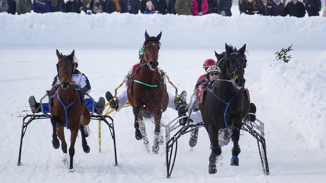 顶尖球员对 顶尖球员对