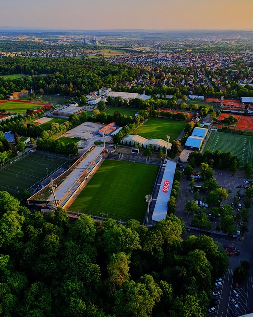 在对抗强敌 在对抗强敌