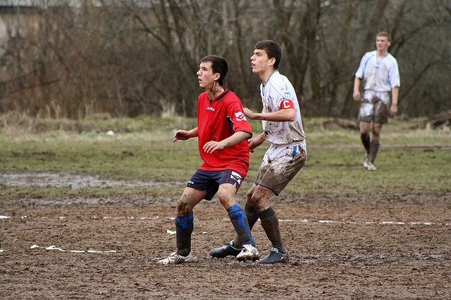 这匹赛马在 这匹赛马在