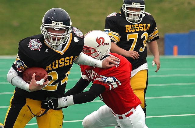 埋下了新的 埋下了新的