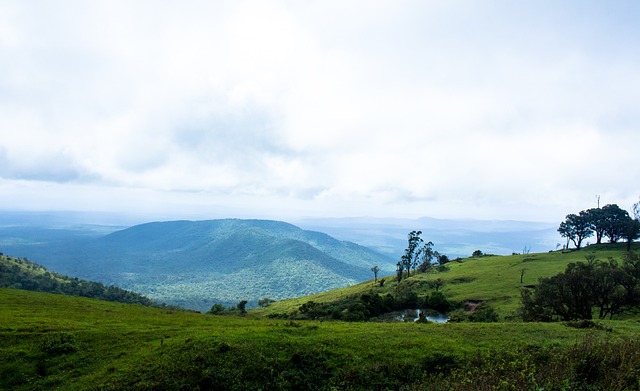 举了一些足 举了一些足