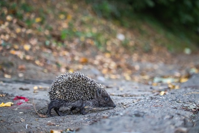 分析方式 分析方式