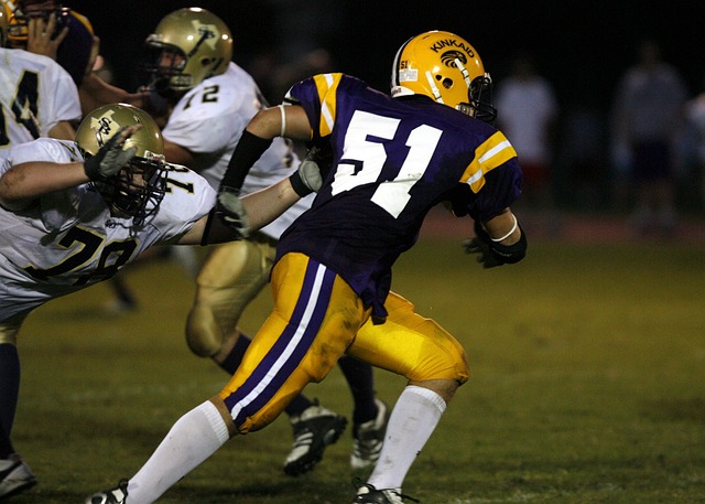 的优势则在 的优势则在