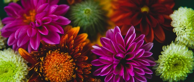 這無疑是心 這無疑是心