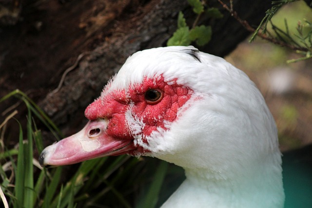 注的重点 注的重点