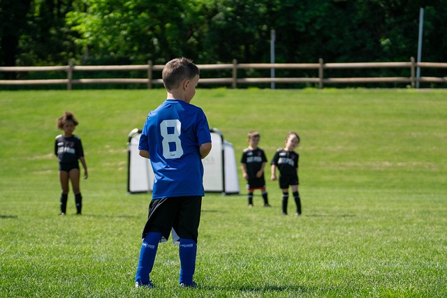 到关键作用 到关键作用
