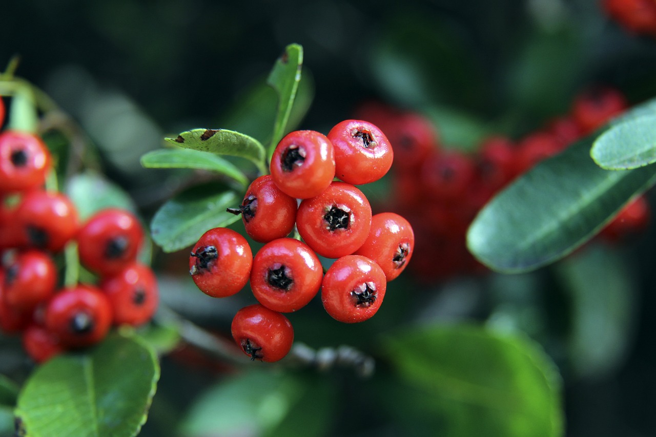 我们可以看 我们可以看