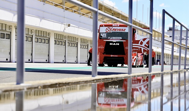 这位来自马 这位来自马