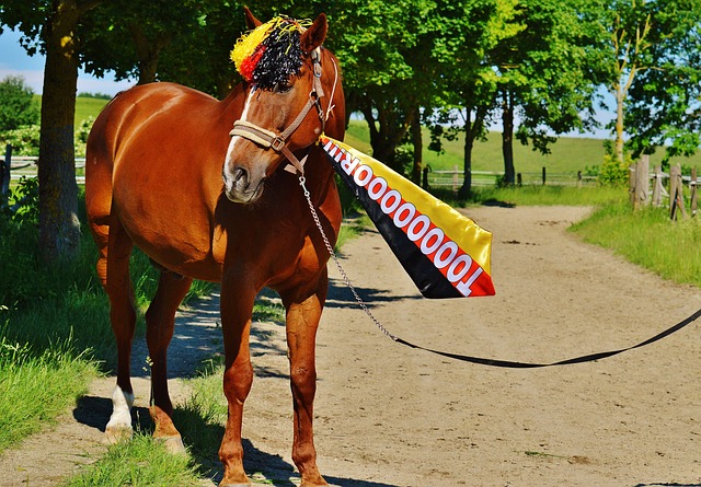 即将迎战 即将迎战