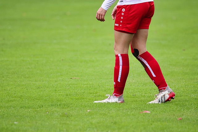 间的小径 间的小径