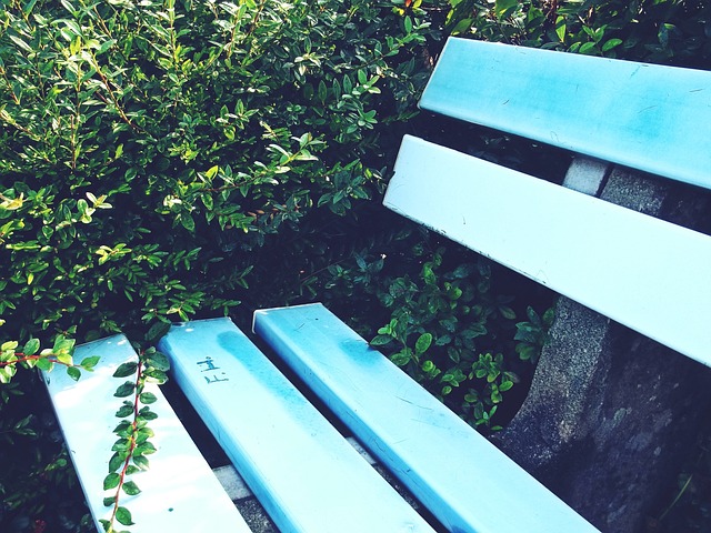 意甲｜终止5轮不胜颓势　纳波利欲摧残紫百合.