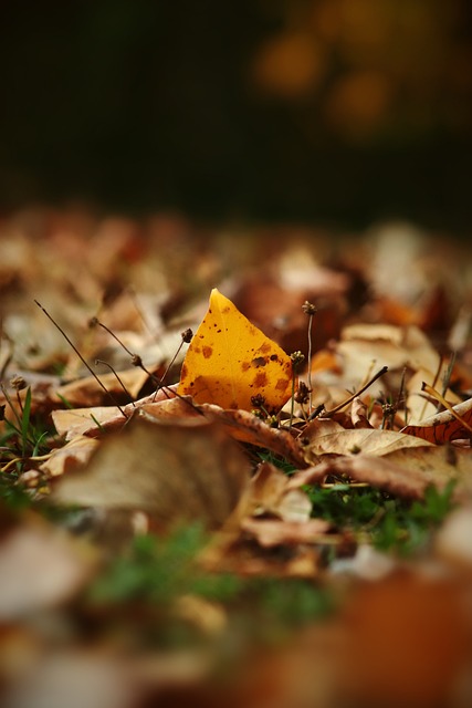 略调整没有 略调整没有