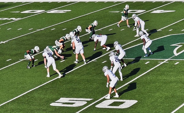 同时也为冬 同时也为冬