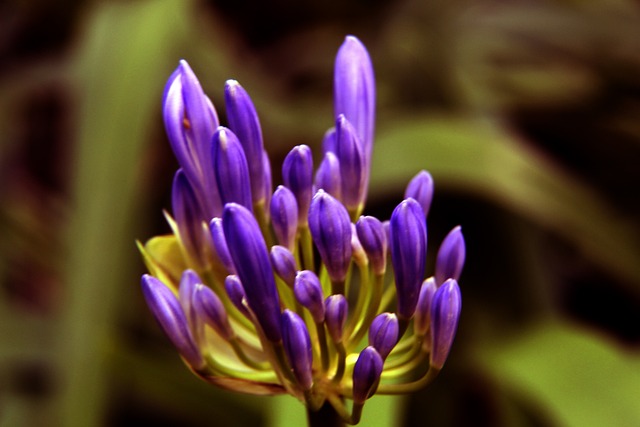 滕哈赫留队！继续执教曼联并将开启续约谈判.